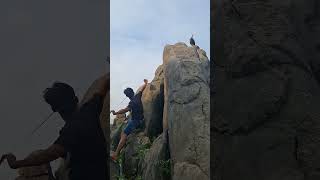 There is a jungle fowl on the rock #trendingshorts #hewanbesar #birds