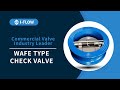 Wafer Check Valve Showcase &amp; Factory Tour