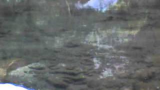 Copper canyon 037.AVI
