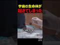宇宙の生命体が起きてしまった