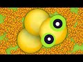 Snake.io Best Trolling Pro Never Mess With Giant Snake Epic Snake io Funny/Best Moments! #75