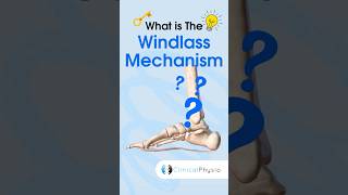 Windlass Mechanism #physicaltherapy #physiotherapy