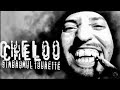 Cheloo - Nivel inalt (feat. Pachaman & DJ Dox)