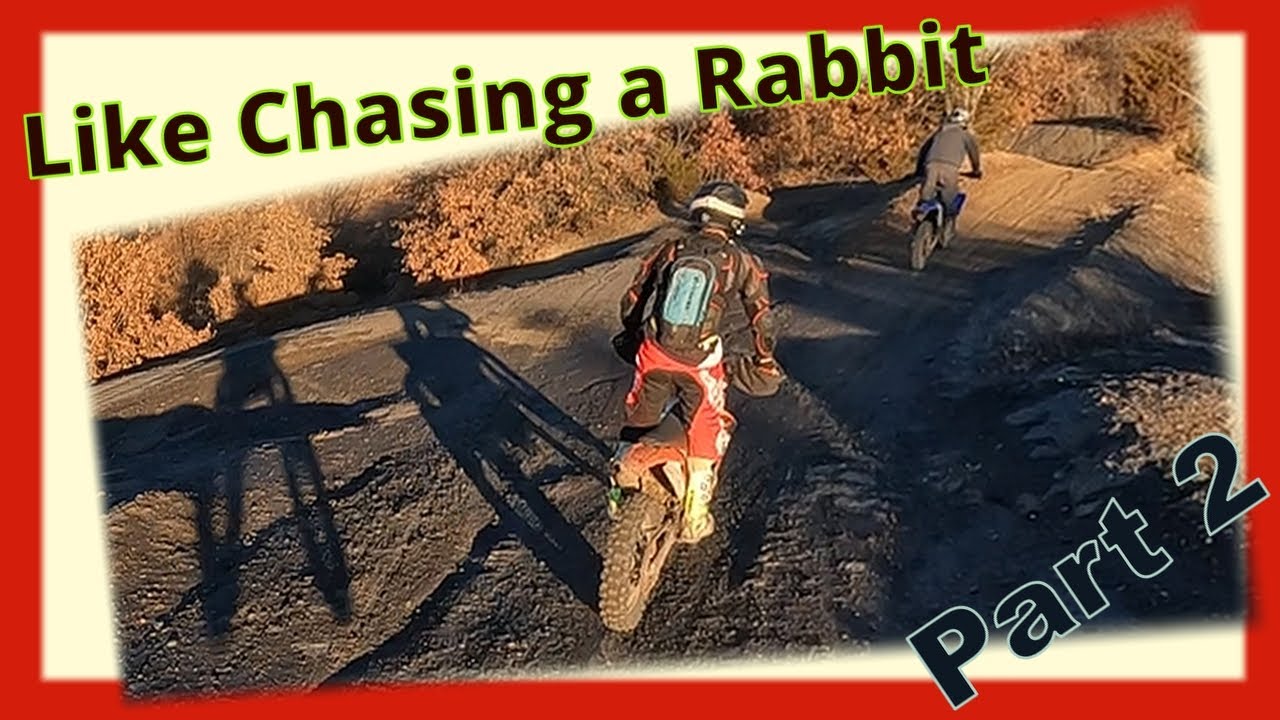 Like Chasing a Rabbit Part 2 - YouTube