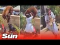17-year-old girl pushes Bear off to save her pets, CCTV footage