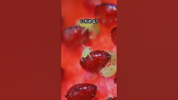 Reasons why you shouldn