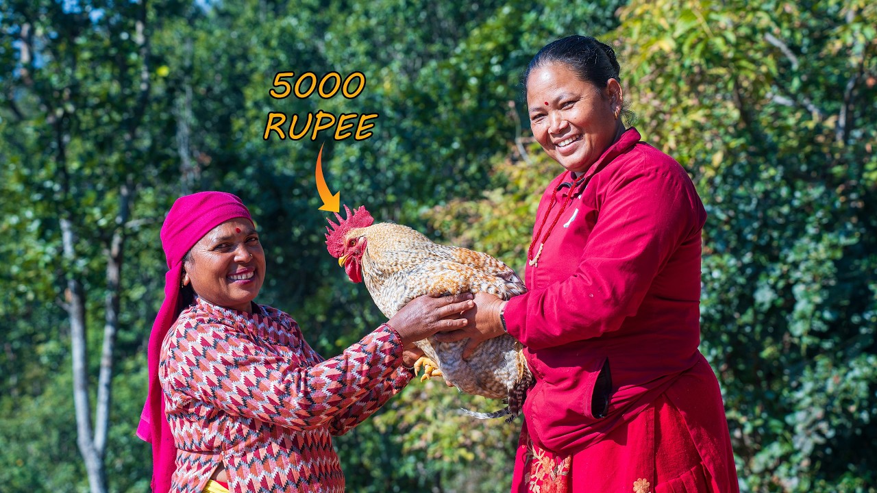 ASMR Cooking || बनभोज, छोरी बुहारीसँग रमाउँदै  || Chicken Curry Cooking In Wild with Nepali Spices