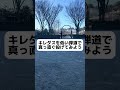 【キレダス練習法】低い弾道で投げてみよう! #球速アップ #野球 #ピッチング #キレダス