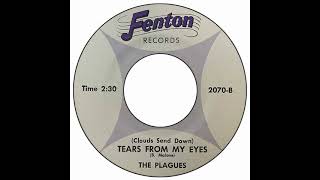 Plagues - (Clouds Send Down) Tears From My Eyes