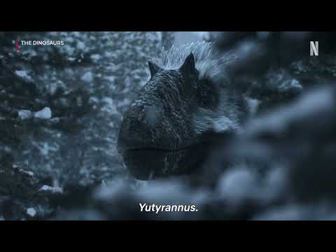Yutyrannus Hunts | Frozen Ambush | The Dinosaurs | Netflix