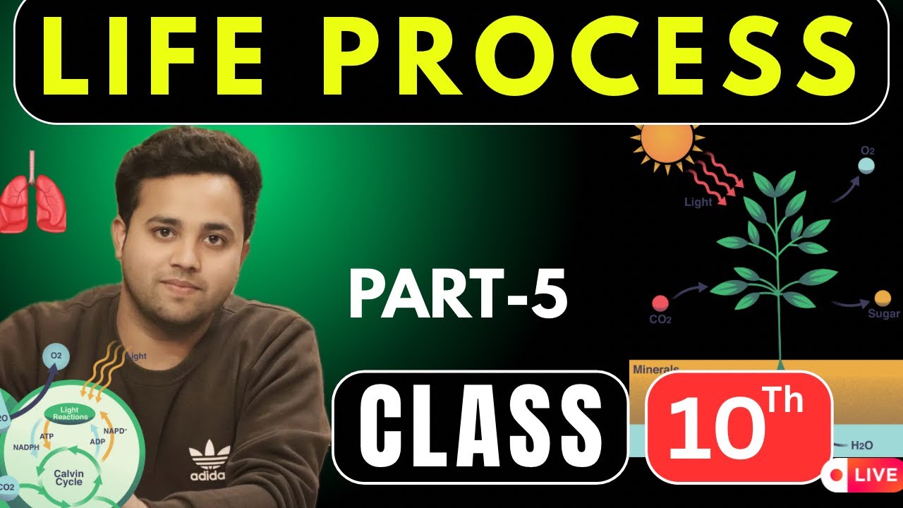 Life Processes | Class 10 Biology | Easy Explanation + PYQs |Part-5 ...
