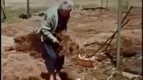 Gardening without work -Ruth Stout 1of2 (ENG-MAGYAR)