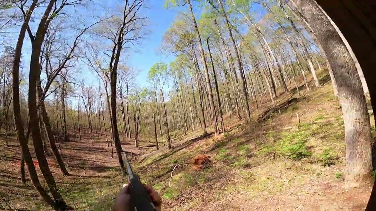 Etowah Valley Sporting Clays