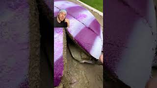 Kocaman Bir Aile Olduk Benim Ve Hikayelerim Hakkında Düşünceleriniz Ne? Söz Hepsini Okuyacağım.