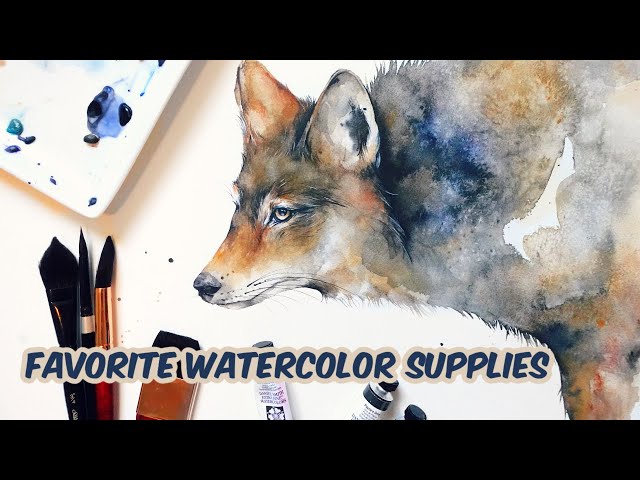 Watercolor Supplies for Beginners – Camera and a Canvas