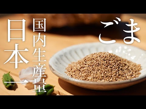 【喜界島ふるさと納税】ごま:国内生産量 日本一 (喜界町)