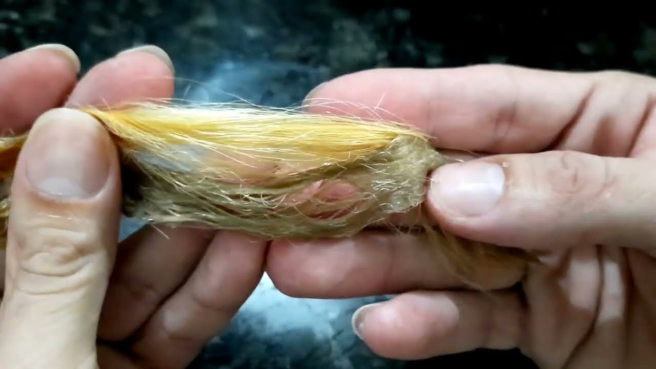 Colorimetria Avançada - Neutralizando o Fundo Amarelo - Heder Freire