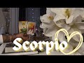 Scorpio Tarot Today 💛 It's just time for a change 🤗November Scorpio Soulmate Tarot Card Reading