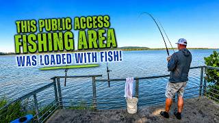 This public access fishing area was loaded with fish