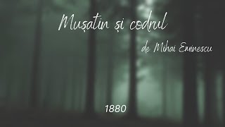Mușatin și codrul - de Mihai Eminescu (1880)
