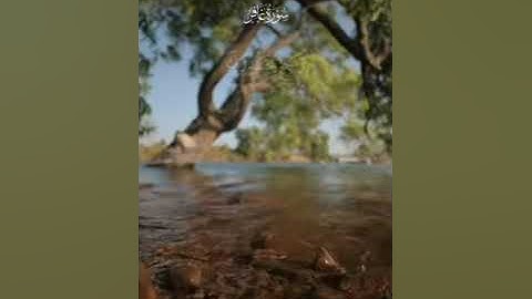 #ماتيسر من القرآن #سورة غافر #الشيخ عبد الباسط عبدالصمد #صوت يريح القلب