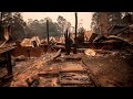 Australians 'smell a rat' over bushfire donations