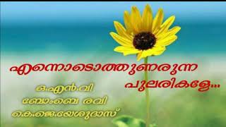 Ennodothunarunna pularikale | എന്നൊടൊത്തുണരുന്ന പുലരികളേ