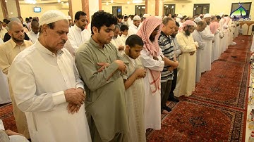 الليلة13|القارئ عبدالبديع محمد غيلان (قراء صلاة التراويح1436هـ)