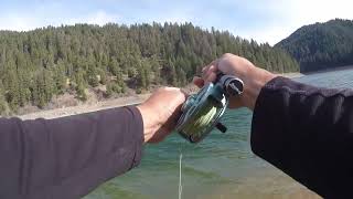 Scrappy Lake McCloud Rainbows (Shasta-Trinity National Forest) by Wilderness with Amani 2,720 views 2 months ago 10 minutes, 22 seconds