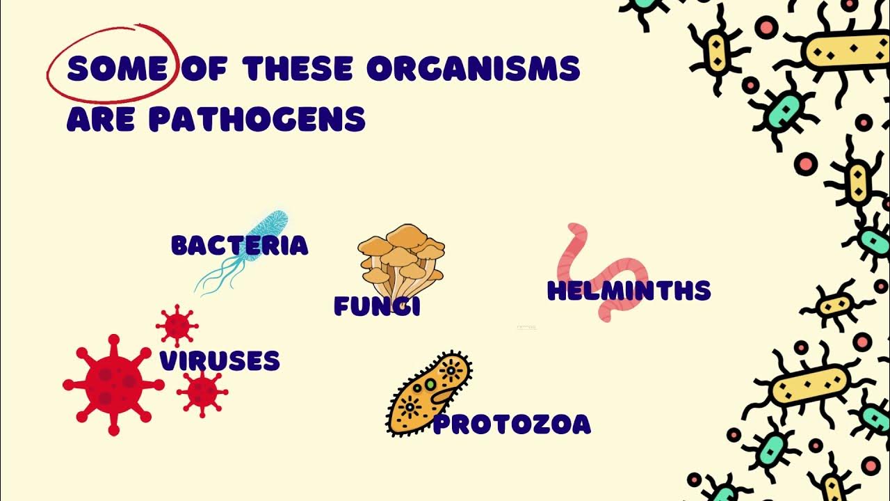 All about microbes 2: Pathogens - YouTube