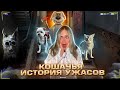 НЕ РАЗГОВАРИВАЙ С БЕНОМ НОЧЬЮ! КОШАЧЬЯ ИСТОРИЯ УЖАСОВ...