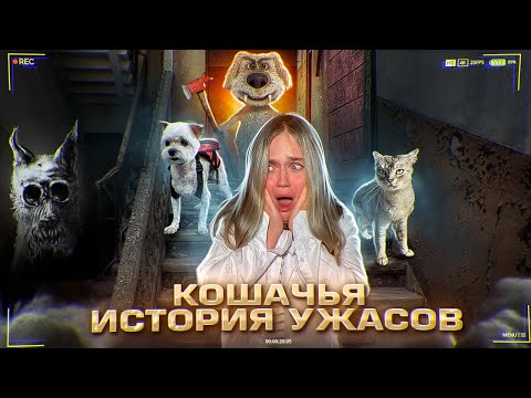 Видео: НЕ РАЗГОВАРИВАЙ С БЕНОМ НОЧЬЮ! КОШАЧЬЯ ИСТОРИЯ УЖАСОВ...