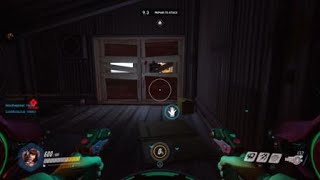 Overwatch- Hello from the other side~