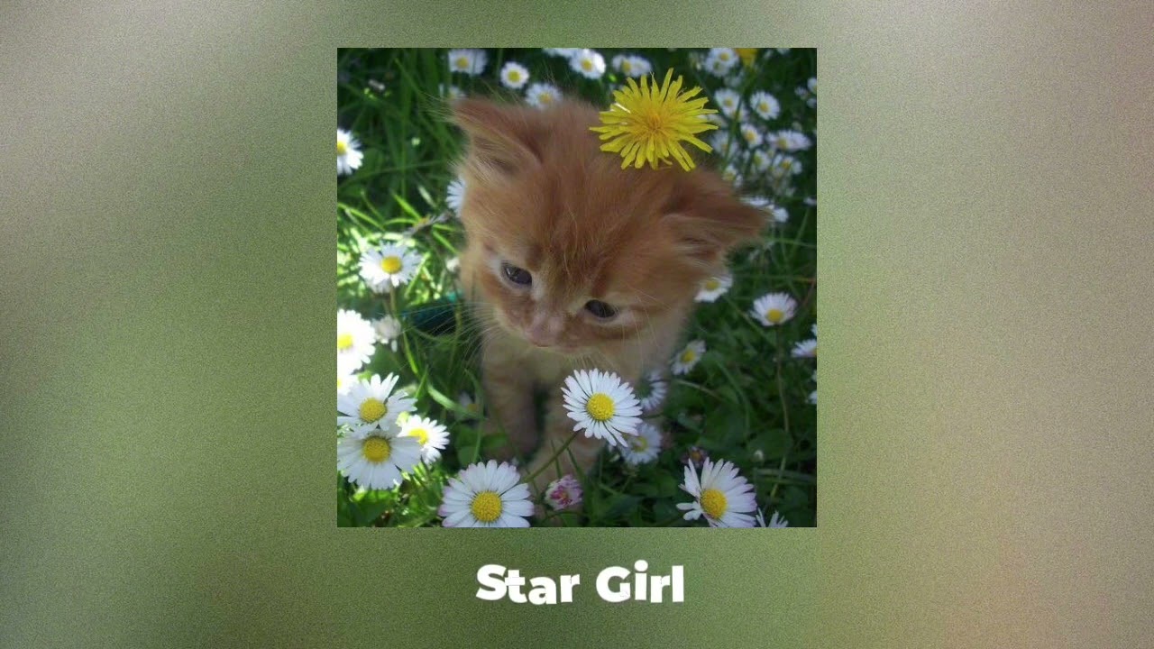 ~ Плейлист с весенним вайбом || Плейлист на прогулку ~