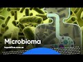 Microbiota y Microbioma - En casa