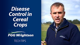 Disease Control in Cereal Crops | PGG Wrightson Tech Tips