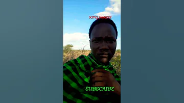 KWANINI SISI WALOKOLE WATU WANA TUSARAU NEW SONG BY PAULO SIRIA BONGE LA NGOMA 