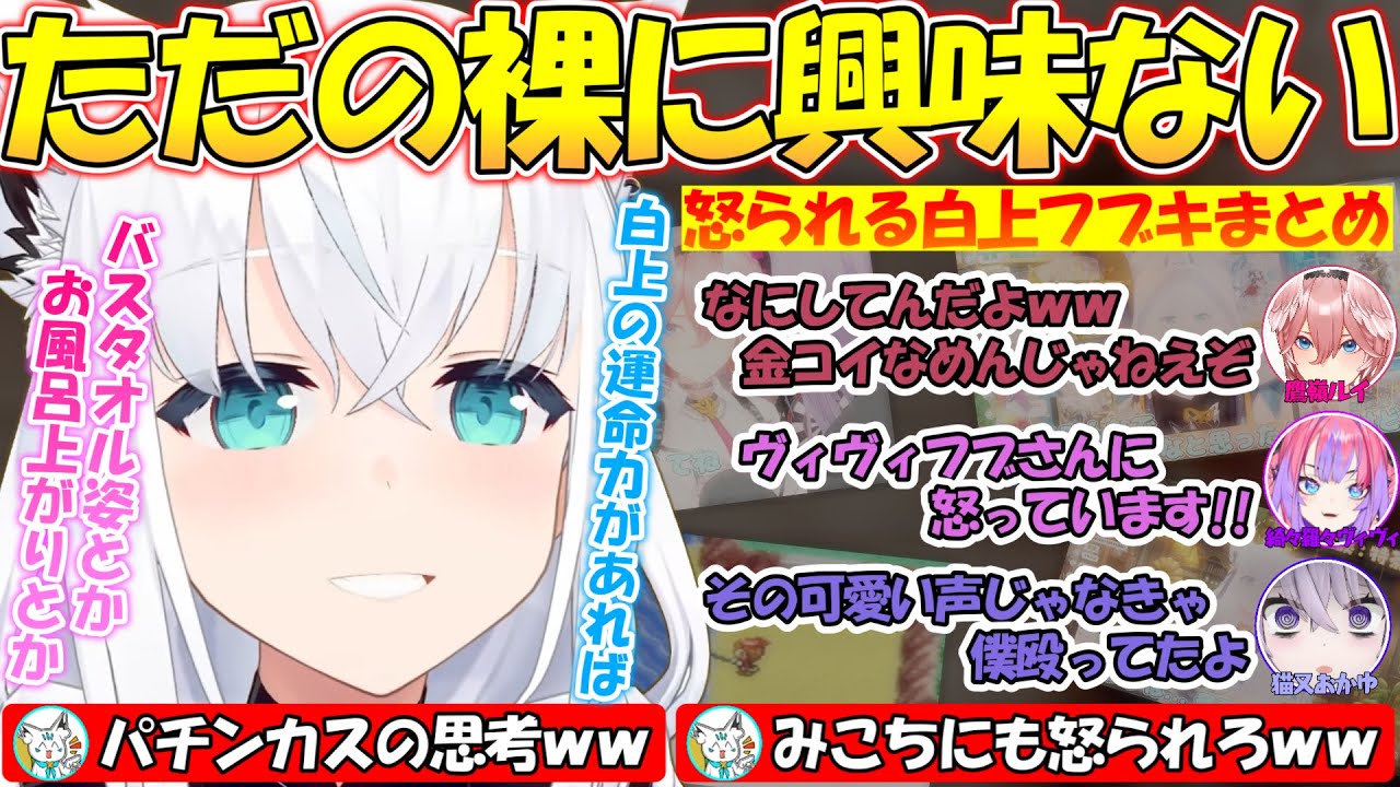 ただの裸には興味がない!?金コイをなめすぎて怒られるフブさんが面白過ぎる!!怒られきーつねまとめ!!【#白上フブキ 】【#切り抜き 】