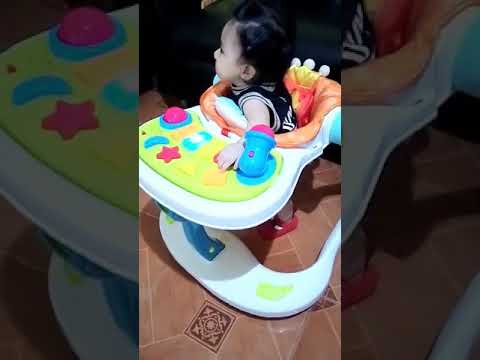 lion 4 in 1 walker