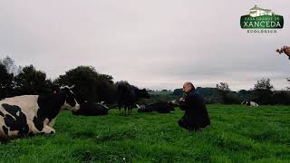 ¡Nuestras vacas disfrutan de un concierto privado! - Alalá das Mariñas (O trío do Acivro)