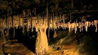 Trollward - Cave Path