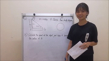 BMFA 2123 (Assignment)