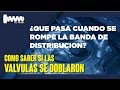 ¿QUE PASA CUANDO SE ROMPE LA BANDA DE DISTRIBUCIÓN? | MOTORMEX