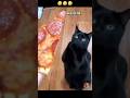 Give me my Pizza ??? #shorts