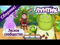 Лунтик - 🌳 Лесное сообщество🐜 🐝 🐛 Сборник 2017 года