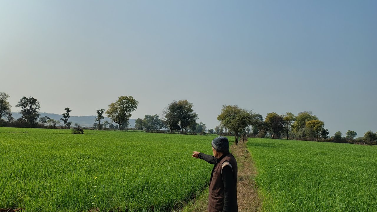 आज तो खेत पर गए दादा जी के साथ ❤️🌾