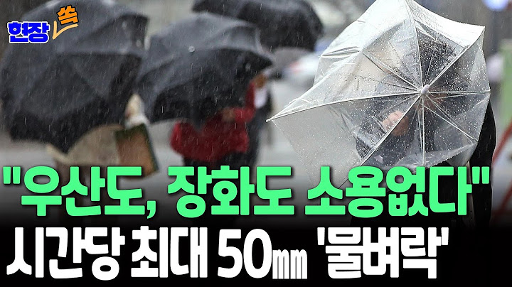 [현장쏙] "사선으로 내리는 비, 우산이 무슨 소용?" 전국 많은 비에 돌풍까지…중부·호남, 시간당 최대 50㎜ '폭우'/ 연합뉴스TV(YonhapnewsTV)