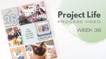 Project Life Process Video // Week 36, 2023 // Studio Calico