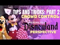 TIPS AND TRICKS 2: Crowd Control - and some 2020 Disneyland Perspective!