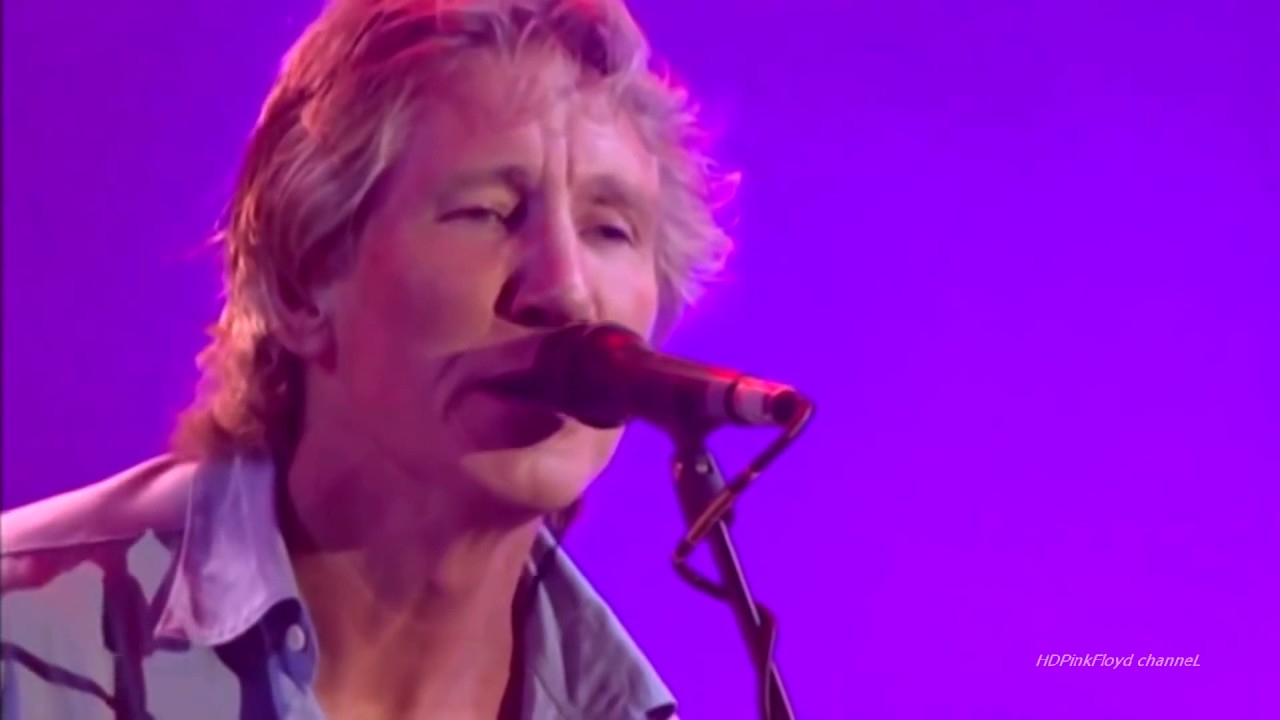 Pink Floyd Reunion Wish You Were Here Comfortably Numb